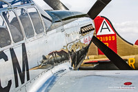 P-51 Mustang