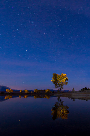 Farmers Pond, Bishop CA