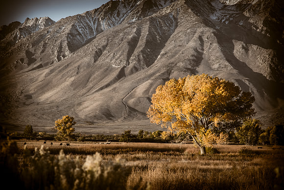 Round Valley, Bishop CA