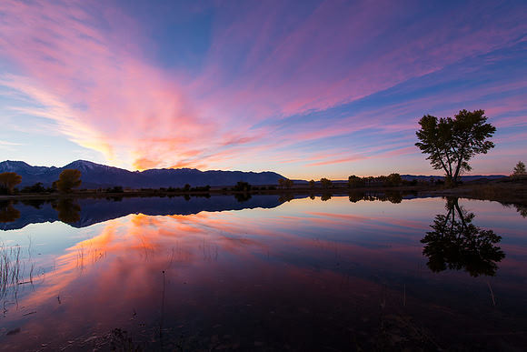 Farmers Pond Sunset