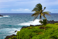 Maui Trip 2016