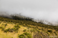 Maui Trip 2016