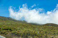 Maui Trip 2016
