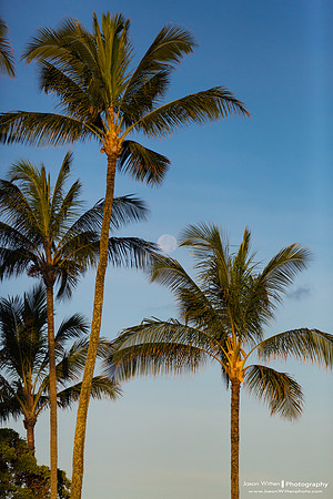 Maui Trip 2016