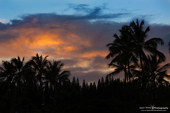 Maui Trip 2016