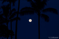 Maui Trip 2016