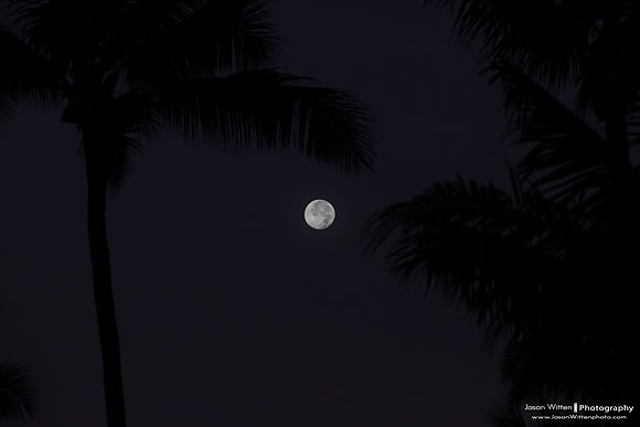 Maui Trip 2016