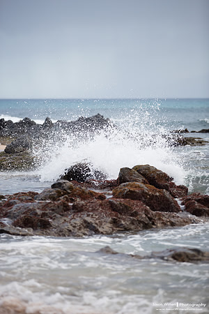 Maui Trip 2016