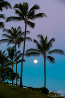 Maui Trip 2016