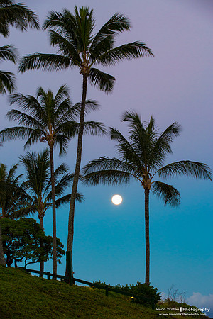 Maui Trip 2016