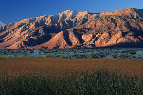 Mountains and Reeds