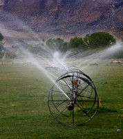 Irrigation Sprinklers