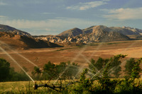 Irrigation