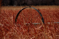Irrigation Wheel