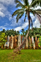 Maui Surfboard Fence