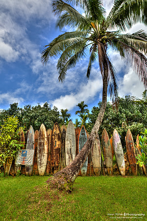 Maui Surfboard Fence