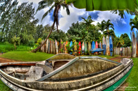 Maui Surfboard Fence