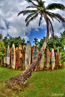 Maui Surfboard Fence