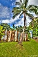 Maui Surfboard Fence