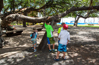 Maui Trip 2016