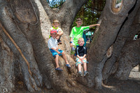 Maui Trip 2016