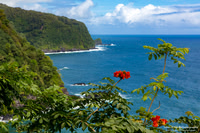 Maui Trip 2016