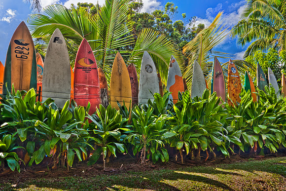 Surfboard Fence